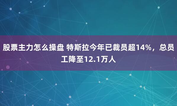 股票主力怎么操盘 特斯拉今年已裁员超14%，总员工降至12.1万人