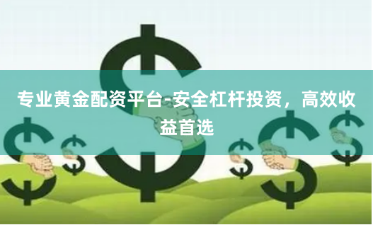 专业黄金配资平台-安全杠杆投资，高效收益首选